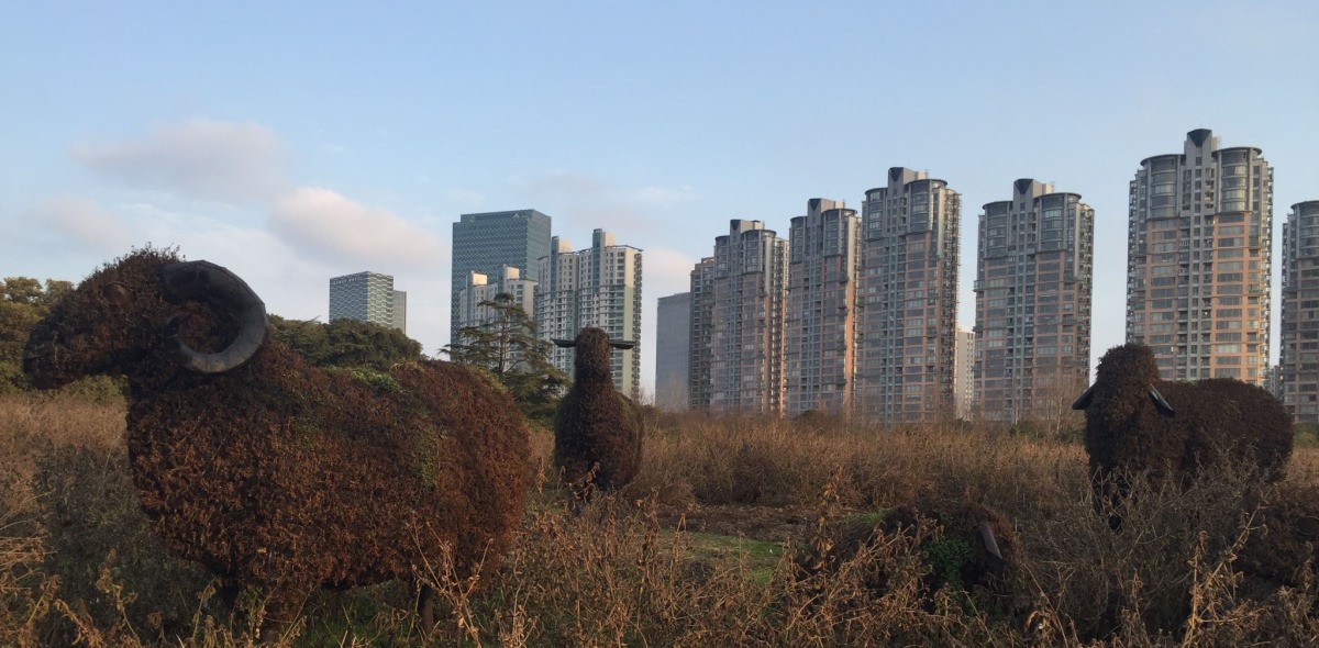 Mannequins of sheep standing in a field with tall residential buildings rising in the background.