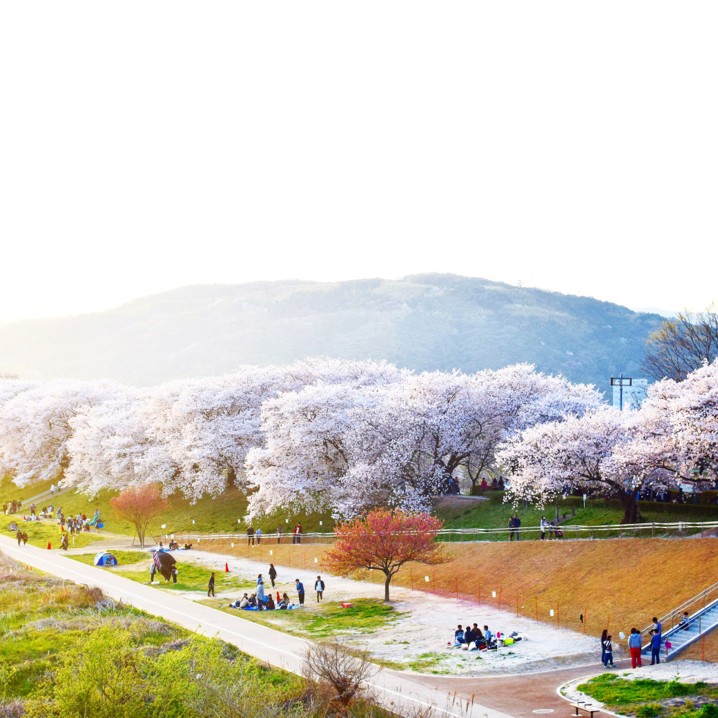 Panoramic view of scenery in Japan
