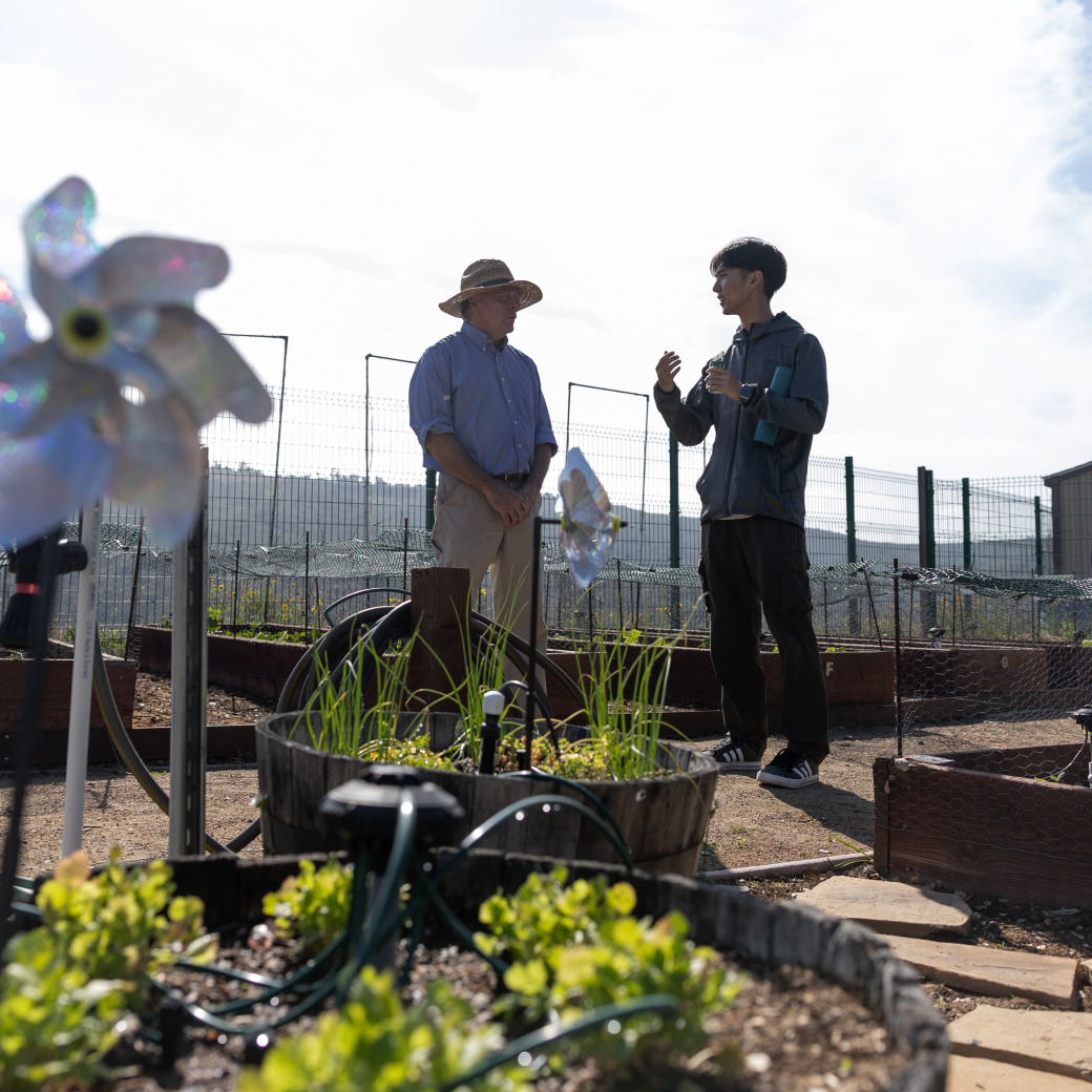 Two people talk in the background of gardening plots.