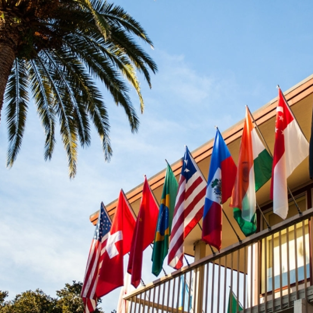 Various countries' flags line a second story balcony with a palm tree in the left of the frame.