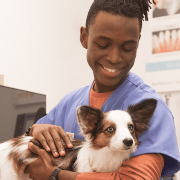 A vet hugging a dog and smiling