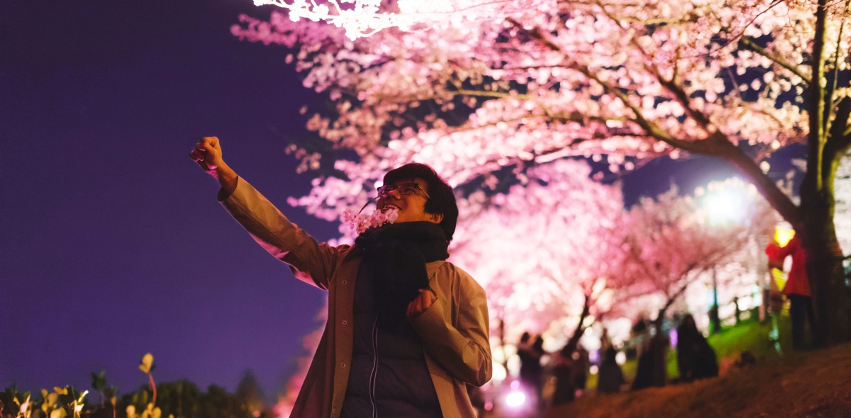 Student at cherry blossom festival in Japan