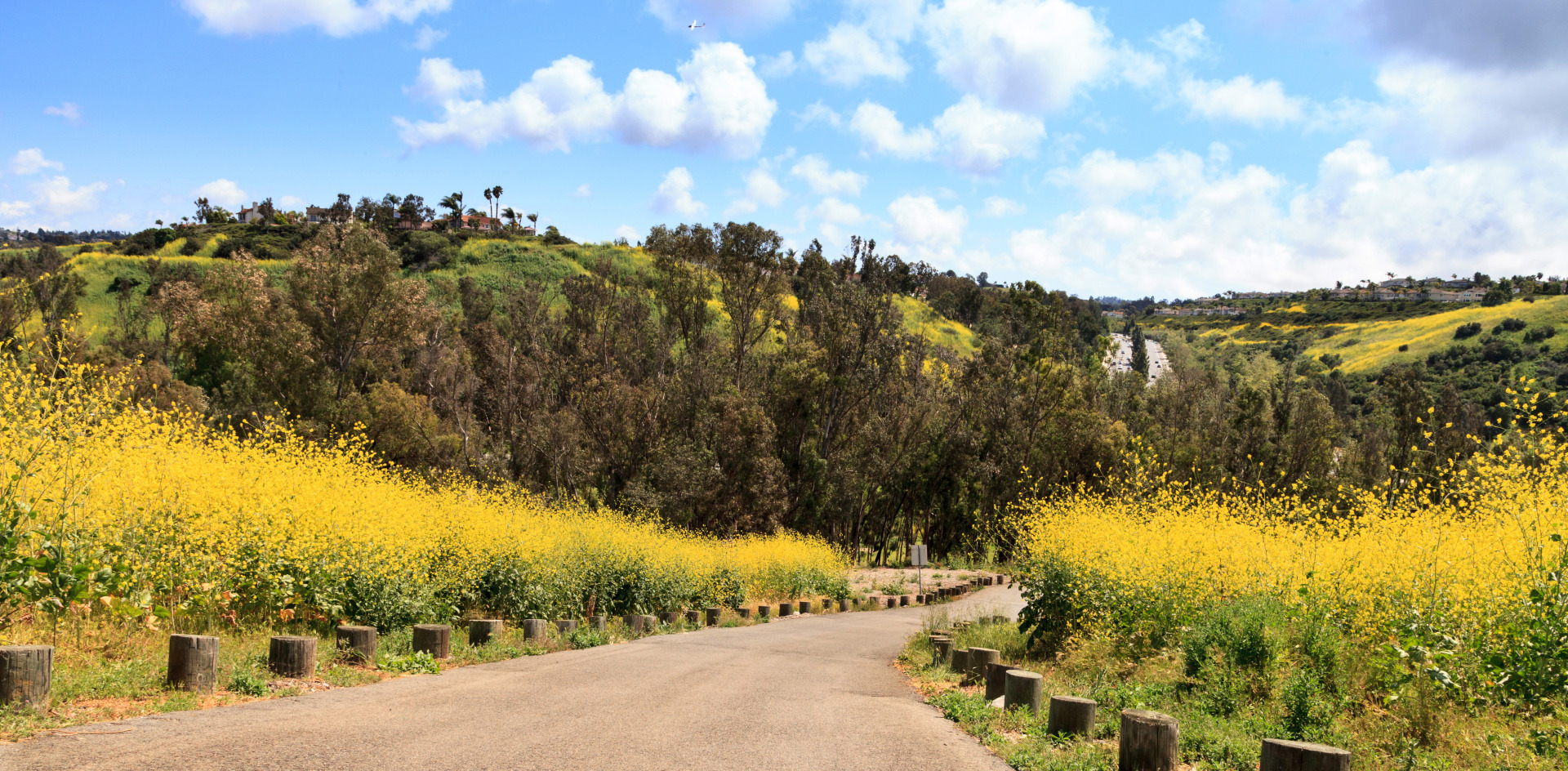 Stock image of Aliso Viejo
