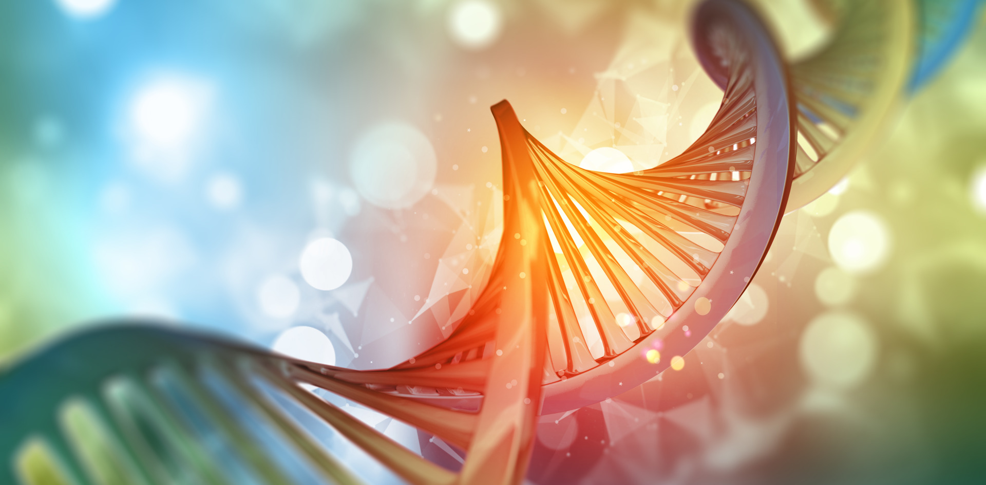 Image of DNA