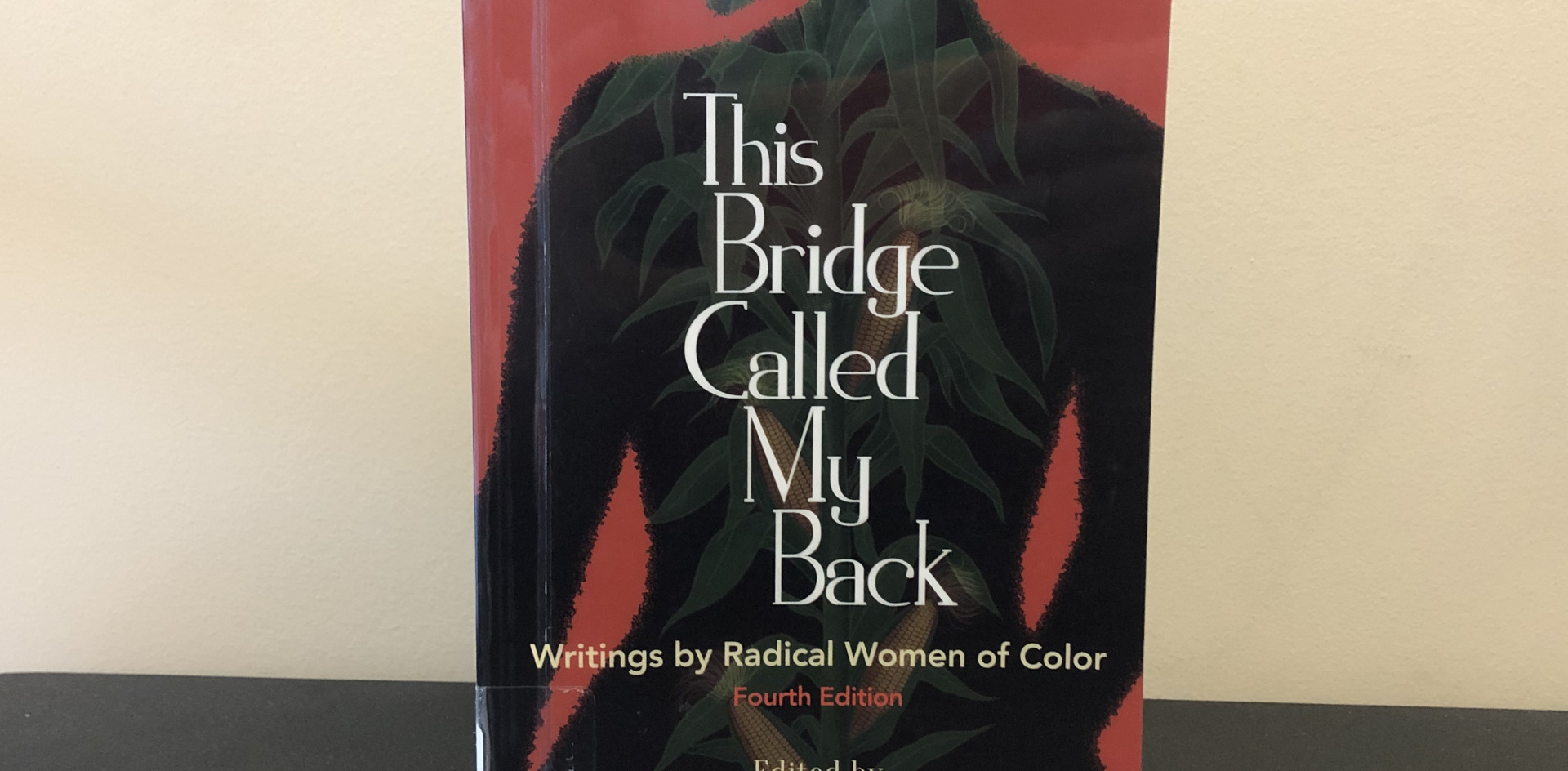 Image of This Bridge Called My Back