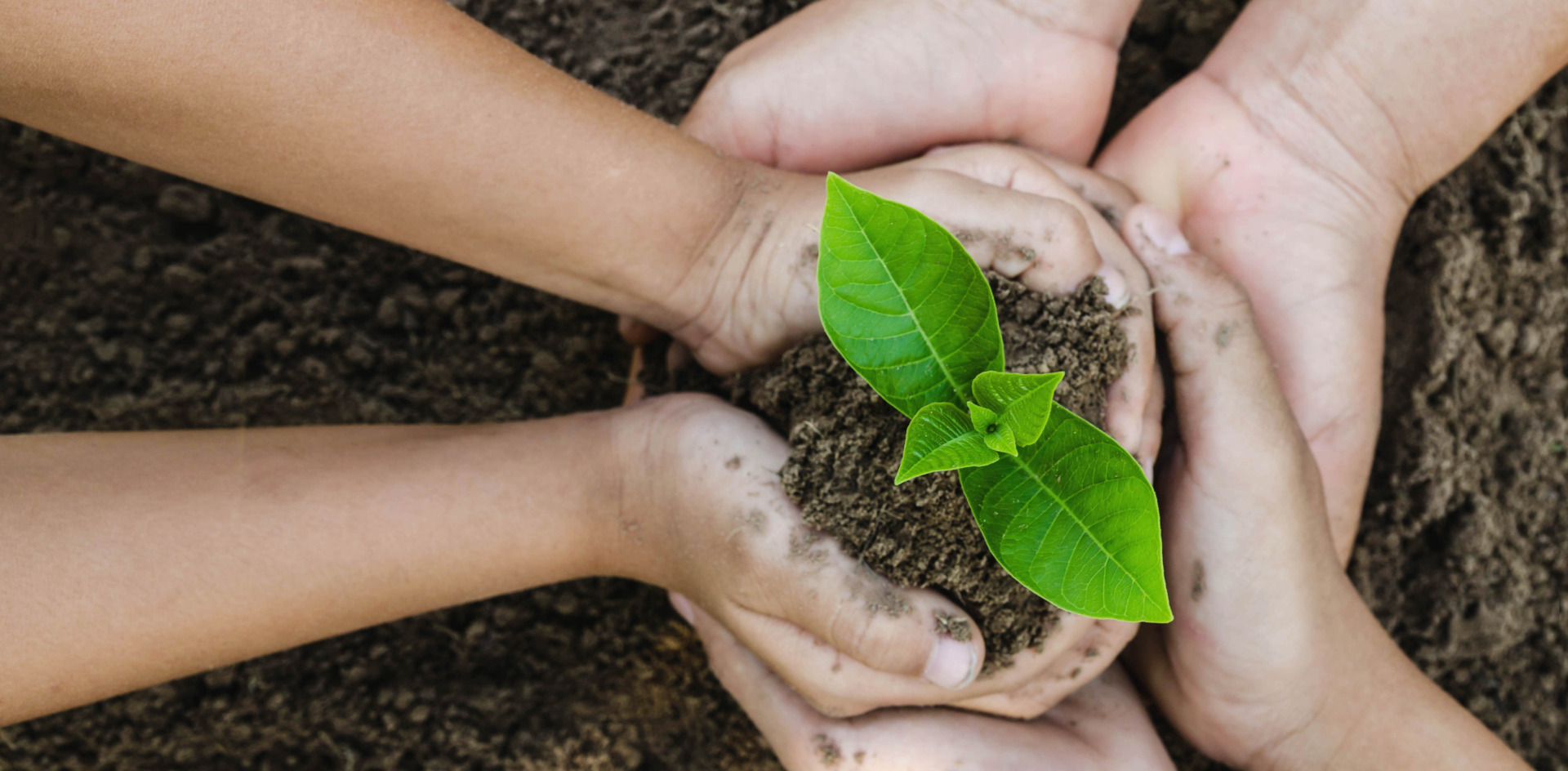 Image of Nature and Humanity