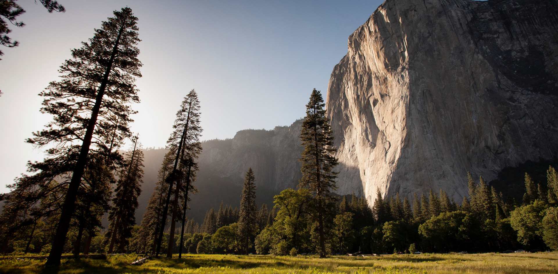Image of nature