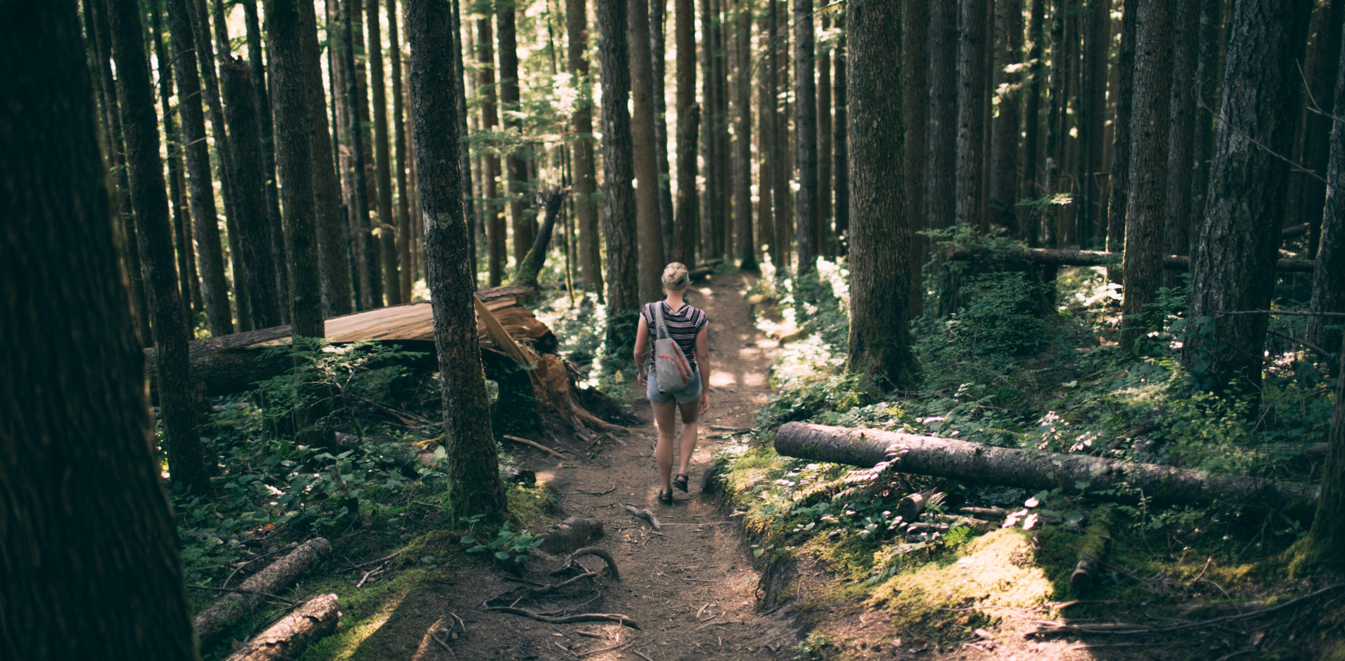 Image of person in nature
