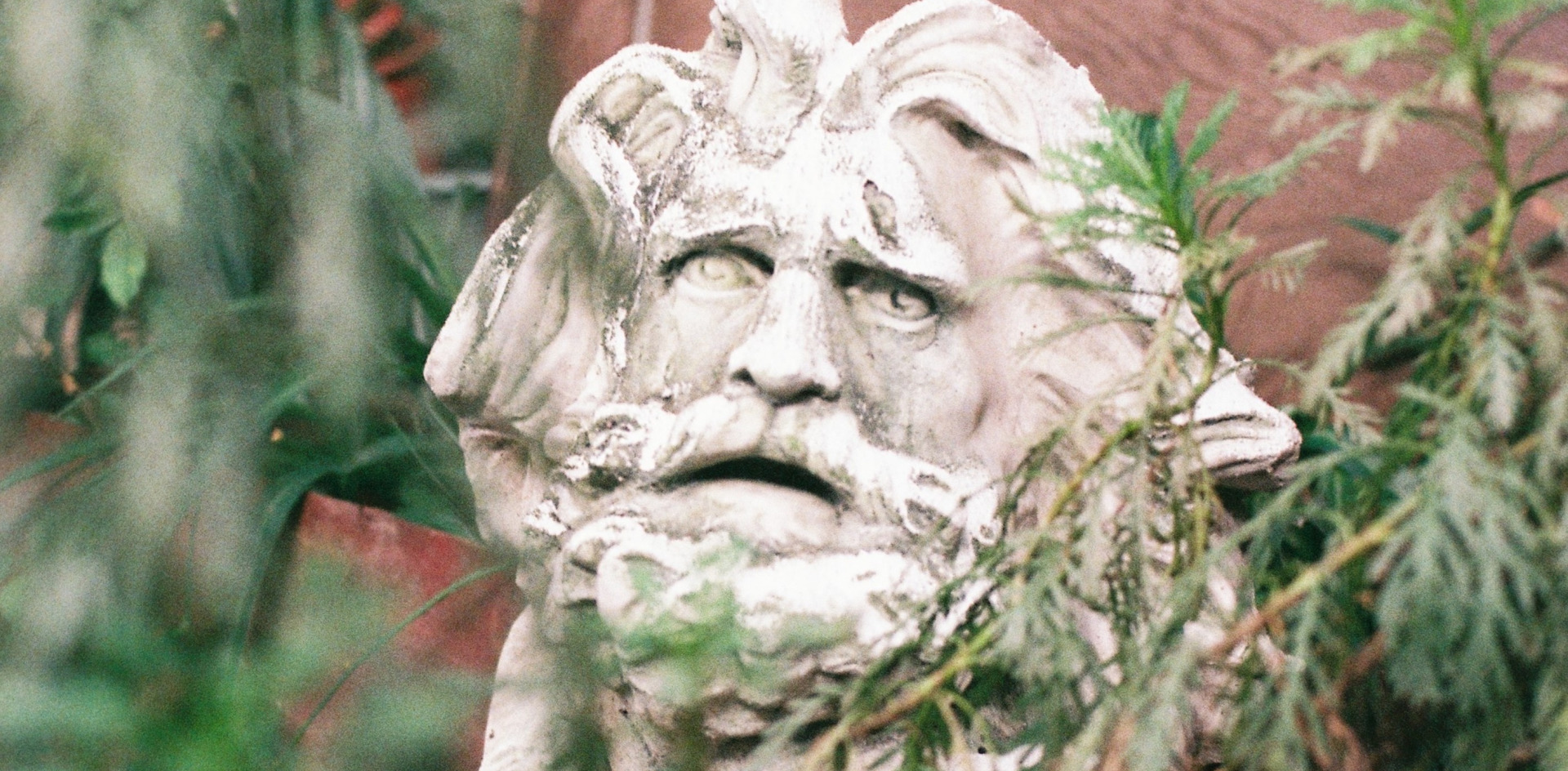 Image of statue head in plant