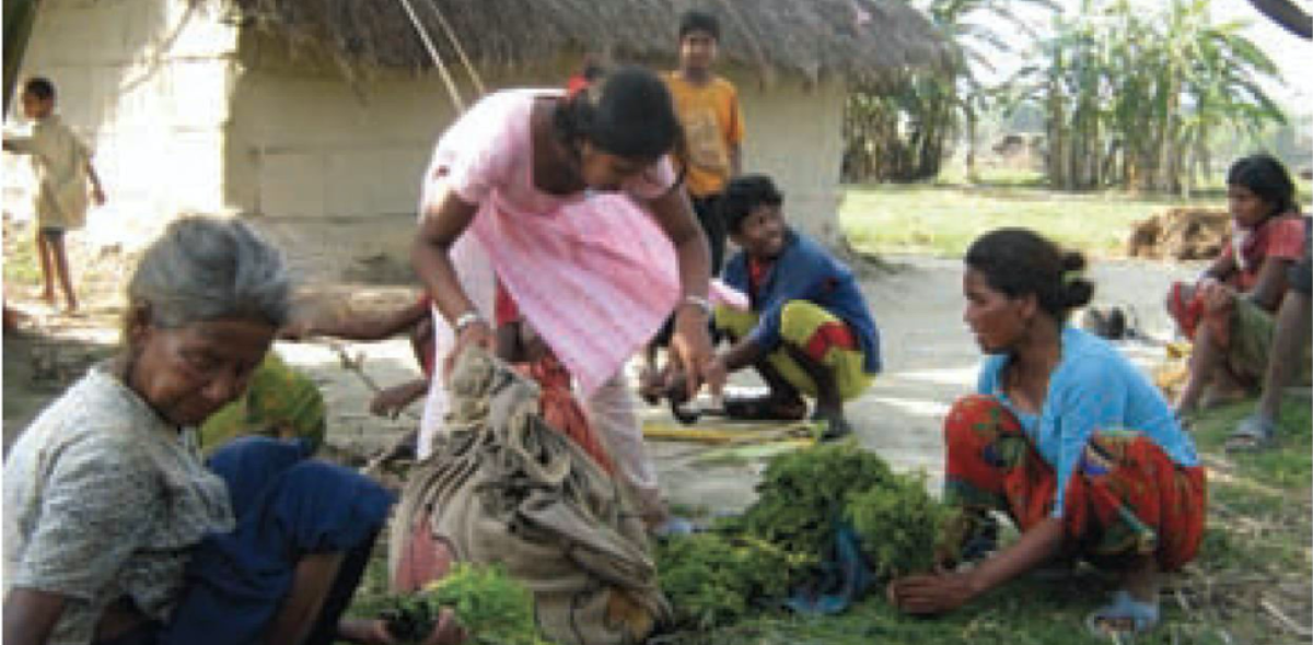 Fig 3: Local women from indigenous fishing community with Nuiro (wild vegetable) collected from CNP