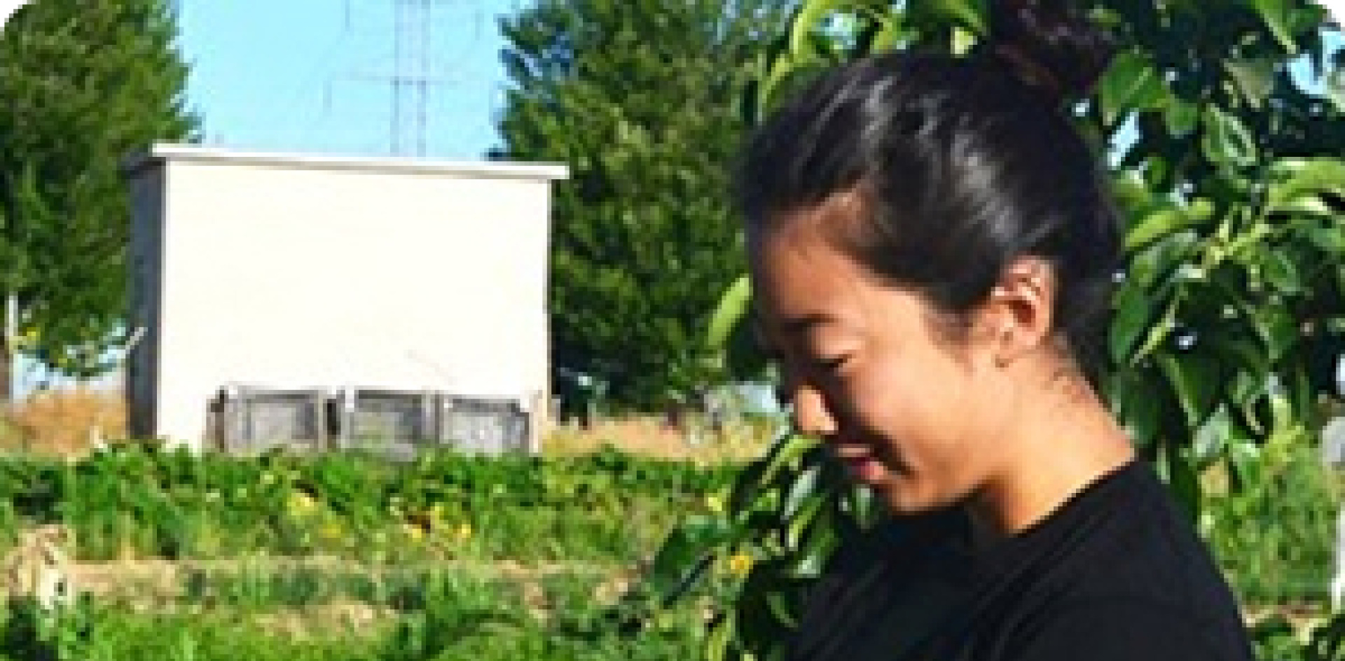 Student working in a garden