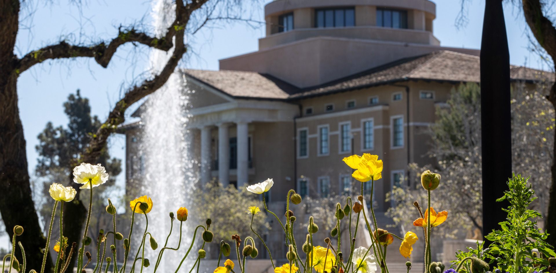founders' hall behind the yellow flowers