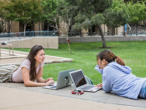 Image of students working outside on laptops.