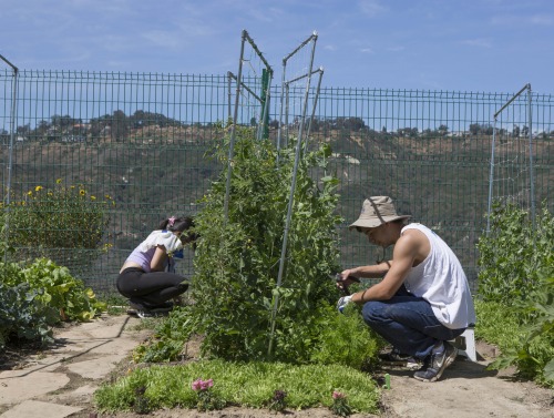 Image of students working in the SIG.