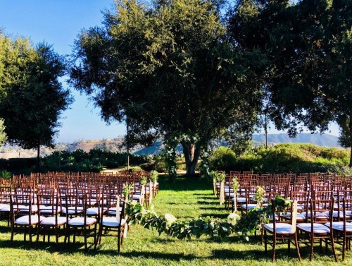 Image of the Athenaeum garden wedding set up.