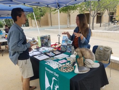 Students at a table at Eco Fair