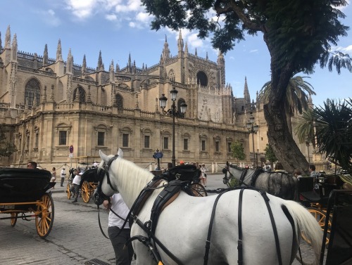 Image of architecture in Seville with horse-drawn carriages in foreground.