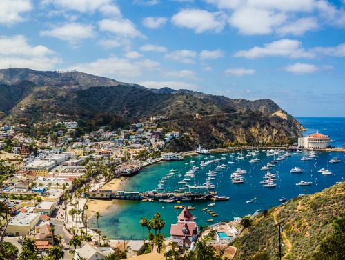 Stock image of Catalina Island