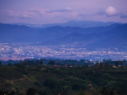 Image of San Jose city lights.