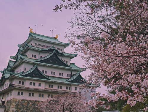 Nagoya Castle