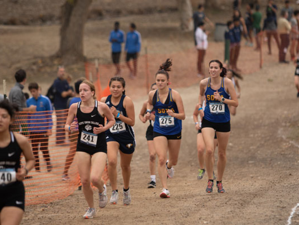 Members of the women's cross country team run a race