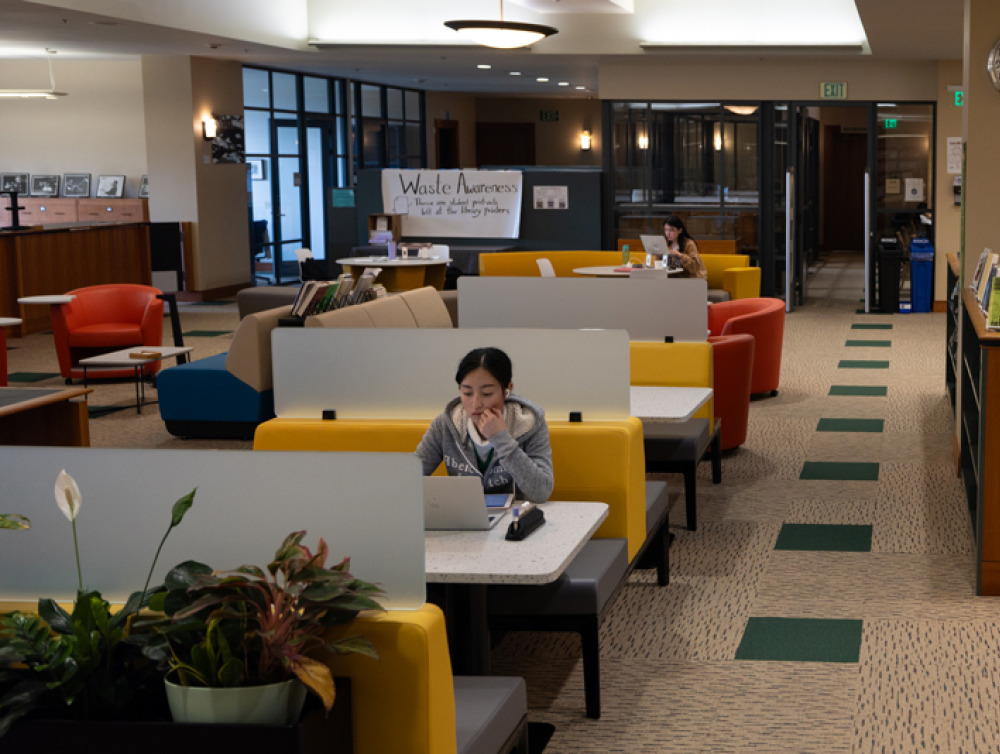 A female student studing alone in the library