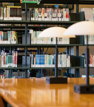 Image of library bookshelves.