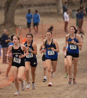 Members of the women's cross country team run a race