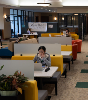 A female student studing alone in the library