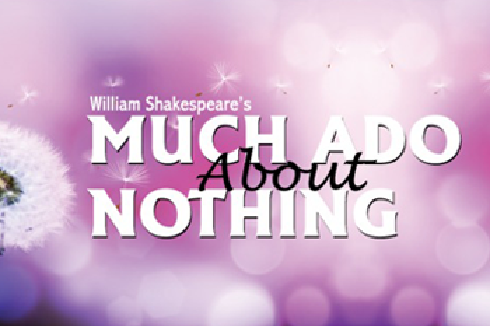 Shakespeare Under the Stars: Much Ado About Nothing