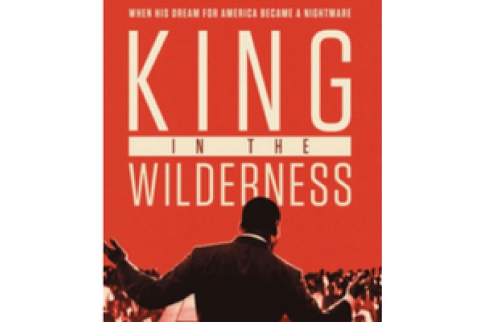 "King in the Wilderness" book cover