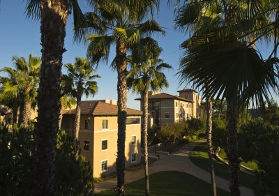 Residence halls with palm trees