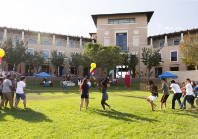 Image of green during Diversity Fusion Fair