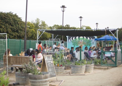 Image of student event in garden