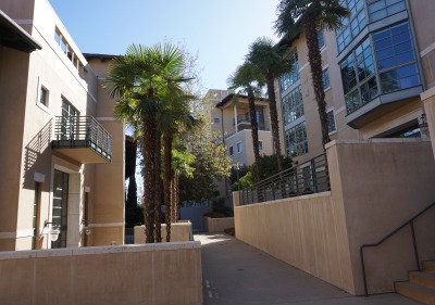 Photo of Residence Hall Pathway