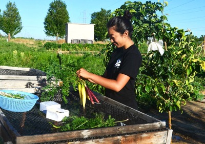 Student working at garden 