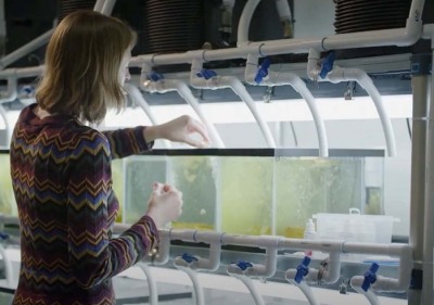 Person tending aquarium in bio lab 