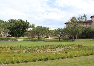 daytime view of the grassy area in between the residence halls called The Bowl