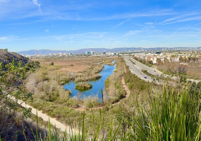 A wide shot of the Ballona Wetlands with green shrubbery in the foreground on a blue, clear sky day.