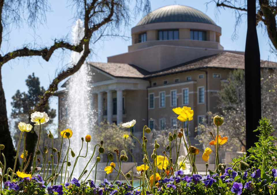 founders' hall behind the yellow flowers