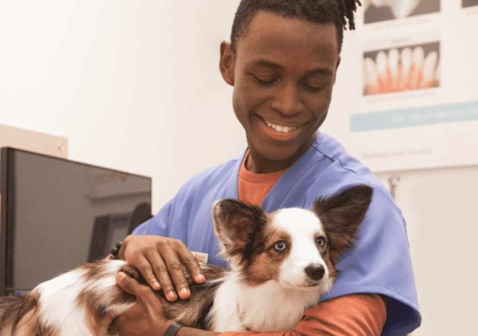 A vet hugging a dog and smiling