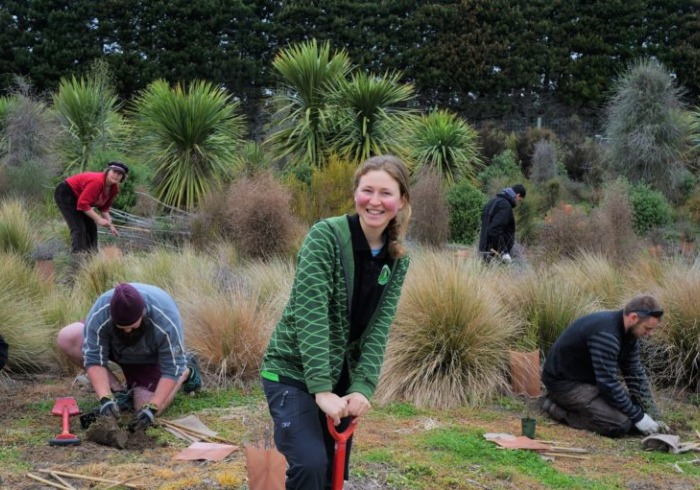 Environmental studies students working on a landscape project 