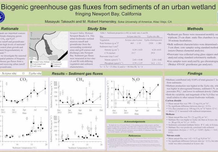 Image of an ES student research poster.