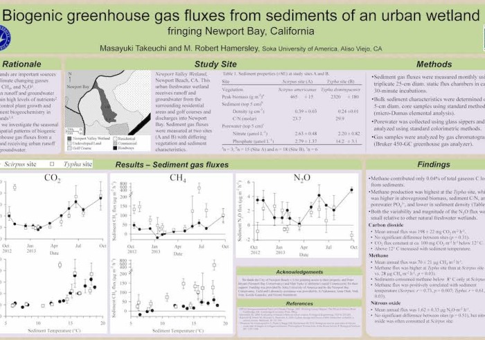 Image of an ES student research poster.