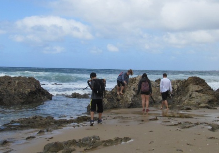 Image of students on a beach.