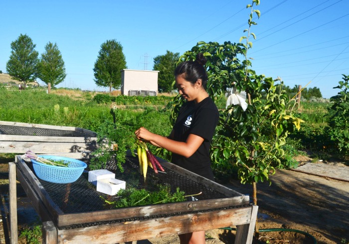 Image of a student working in a garden.