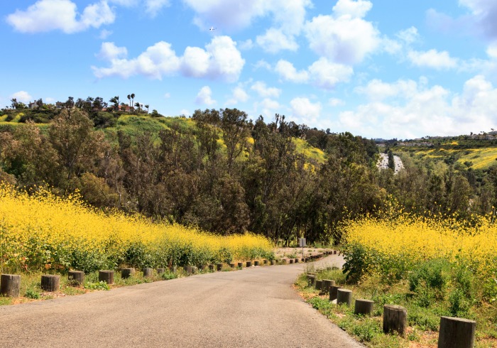 Stock image of Aliso Viejo