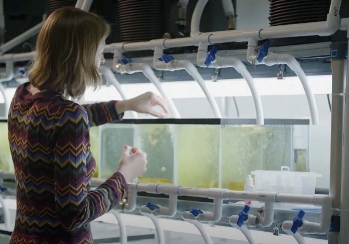 Person tending aquarium in bio lab
