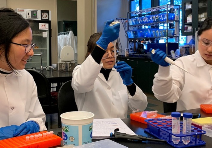 Students at work in science lab