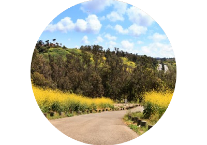 Scenery around Soka